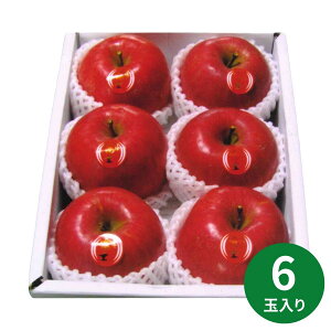 Õxm(6) 2.5Kg (11{`ȍ~) (ԁF1128܂) Ε N Nn ~Mtg 2025 j oYj Vzj zj ސEj lC    LO