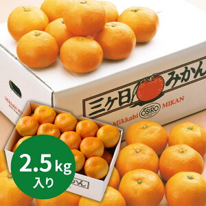 ÉY O݂m2D5kgn (11{`1215ȍ~) (ԁF123܂) Ε N Nn ~Mtg 2025 j oYj Vzj zj ސEj lC   