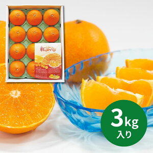 QY g܂ǂ 3Kg (12{`12{ȍ~) (ԁF1213܂) Ε N Nn ~Mtg 2025 j oYj Vzj zj ސEj lC   