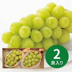 쌧Y VC}XJbg(2[) (123ȍ~) (ԁF1216܂) Ε N Nn ~Mtg 2025 j oYj Vzj zj ސEj lC    