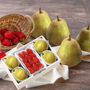 EtXƂ (11{`12{ȍ~) (ԁF128܂) Ε N Nn ~Mtg 2025 j oYj Vzj zj ސEj lC    