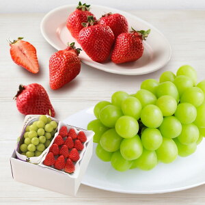 VC}XJbgƂ (11{`1215ȍ~) (ԁF123܂) Ε N Nn ~Mtg 2025 j oYj Vzj zj ސEj lC    