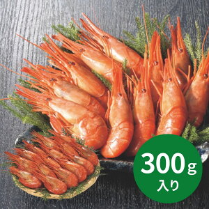 ۍY ݎYkC܂ 300g({C) (111ȍ~) (ԁF1214܂) Ε N Nn ~Mtg 2025 j oYj Vzj zj ސEj lC   