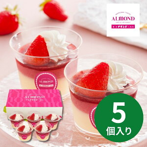 Z{؃A}h 䕂̃vptF YF-PP12 (1110ȍ~) (ԁF1214܂) Ε N Nn ~Mtg 2025 j oYj Vzj zj ސEj lC   