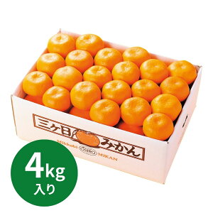 ÉY O݂m4kgn (11{`1215ȍ~) (ԁF123܂) Ε N Nn ~Mtg 2025 j oYj Vzj zj ސEj lC   