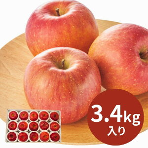 쌧Y Tӂ(3D4kg) (123ȍ~) (ԁF1210܂) Ε N Nn ~Mtg 2025 j oYj Vzj zj ސEj lC    L