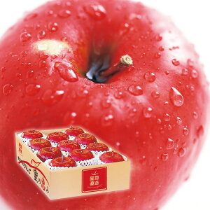 XY Tӂь ̌b (11{`12{ȍ~) (ԁF1213܂) Ε N Nn ~Mtg 2025 j oYj Vzj zj ސEj lC   