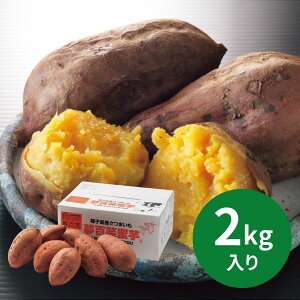 Y SΖ([)2kg (123ȍ~) (ԁF1216܂) Ε N Nn ~Mtg 2025 j oYj Vzj zj ސEj lC    L