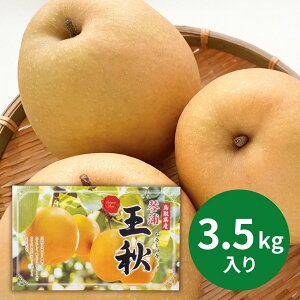 挧Y Hm3.5kgn (11{`12{ȍ~) (ԁF128܂) Ε N Nn ~Mtg 2025 j oYj Vzj zj ސEj lC   