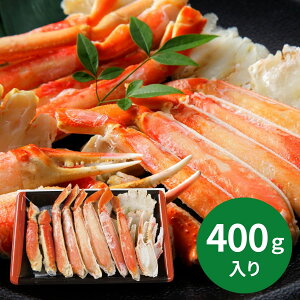 {C킢Ƀn[tJbg (ԁF1219܂) Ε N Nn ~Mtg 2025 j oYj Vzj zj ސEj lC    LO   yY