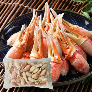 {C킢ɒ 430304 (ԁF1218܂) Ε N Nn ~Mtg 2025 j oYj Vzj zj ސEj lC    LO   yY