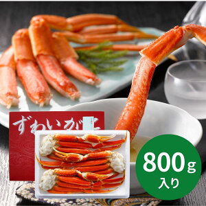 {C{킢 800KHS (111ȍ~) (ԁF1216܂) Ε N Nn ~Mtg 2025 j oYj Vzj zj ސEj lC    LO 