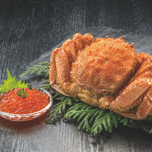 JlRcY тɁEZbg (ԁF1214܂) Ε N Nn ~Mtg 2025 j oYj Vzj zj ސEj lC    LO  