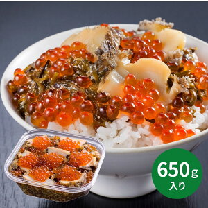  OYC 650g SK650 (113ȍ~) (ԁF1220܂) Ε N Nn ~Mtg 2025 j oYj Vzj zj ސEj lC    LO