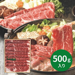 L[XĂpMtg 500g (ԁF1214܂) Ε N Nn ~Mtg 2025 j oYj Vzj zj ސEj lC    LO   