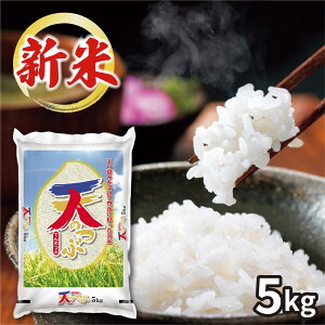 ѓč Y V̂ 5kg (ԁF127܂) ߘa7NY V  Ε Ε ~Mtg  2025 j Ԃ j oYj Vzj zj ސEj lC 