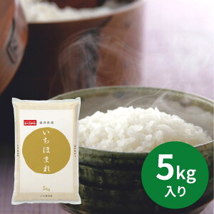 䌧Yق܂ 5kg (111ȍ~) (ԁF1216܂) Ε N Nn ~Mtg 2025 j oYj Vzj zj ސEj lC    LO 