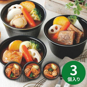 GAAKU GAAKU彩り5種野菜のスープカレーセット (11月1日以降順次発送) (承り期間:12月14日まで) お歳暮 年賀 年始 冬ギフト 2025 結婚祝い 出産祝い 新築祝い 引越し祝い 退職祝い 人気 定番 高級 お