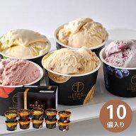 【ポイント5倍】【最安値に挑戦中】銀座千疋屋 銀座プレミアムアイス10個 PGS-036N (承り期間：7月31日ま…