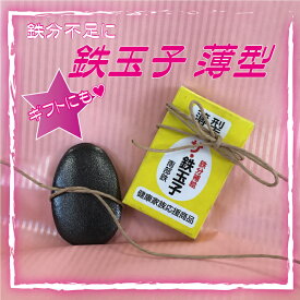 【送料無料】南部鉄 ザ・鉄玉子 薄型☆　鉄分補給に。