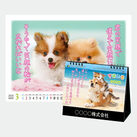 【送料込み!】2025年卓上カレンダー　ic840 すまいる