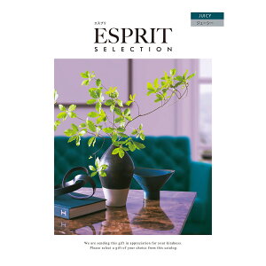 カタログギフト 選ぶカタログ エスプリ ジューシー 内祝い お祝い お返し 快気内祝 H倉庫