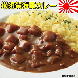お中元 レトルト カレー ギフト 横須賀海軍 10食 詰め合わせ 内祝 快気内祝 お返し お礼 お取り寄せ H倉庫