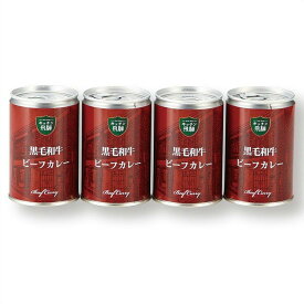 お中元 レトルト カレー ギフト 黒毛和牛 ビーフ カレー 中辛 キッチン飛騨 90016 内祝 快気内祝 お礼 お取り寄せ
