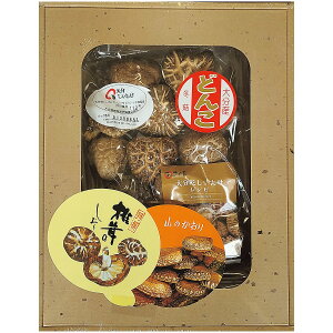 ő  啪Yǂ Mtg lߍ킹 FD-20 j  Ԃ Cj @v Fq