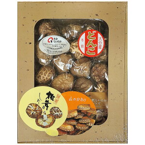 Ε ő  啪Yǂ Mtg lߍ킹 FD-25 j  Ԃ Cj @v Fq