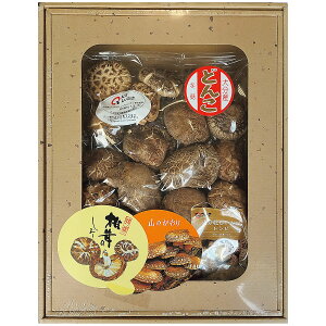 Ε ő  啪Yǂ Mtg lߍ킹 FD-40 j  Ԃ Cj @v Fq