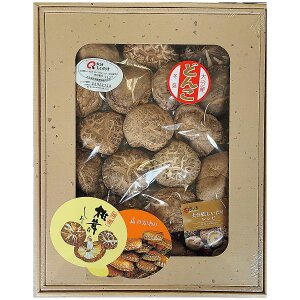 Ε ő  啪Yǂ Mtg lߍ킹 OD-50 j  Ԃ Cj @v Fq