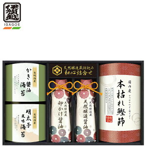 Ε  Mtg ɉz VRݖ aSZbg lߍ킹 GNF-CJS j Cj  Hq