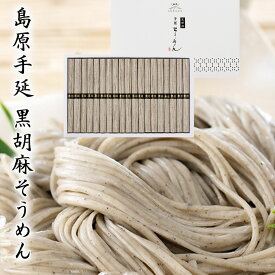 お中元 素麺 ギフト 島原 黒胡麻そうめん（化粧箱） セット 詰め合わせ SB-20 内祝 快気内祝 お返し お礼 香典返し 法事 F倉庫