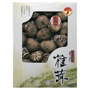 ő  Yǂ񂱒ő Mtg Zbg KMD-50NH j  Ԃ Cj @v Hq