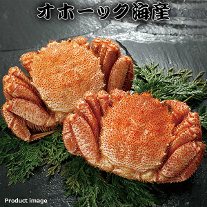 Ε  Mtg уKj p 2 500g×2 kC I Zbg lߍ킹 j Cj Ԃ   Fq
