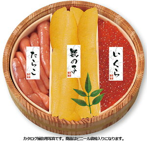 CN  炱 ̎q k̋ ؒMl 3_ Mtg Zbg j Cj  Fq