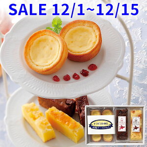 Ε َq  XC[c P[L ZNVR Mtg Zbg lߍ킹 j Cj Ԃ  Fq