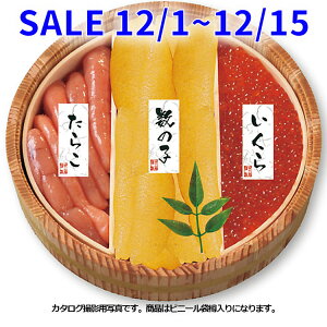 Ε CN  炱 ̎q k̋ ؒMl 3_ Mtg Zbg j Cj  Fq