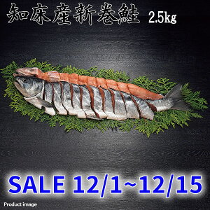 Ε mY V pؐg É 2.5kg Mtg lߍ킹 j Cj Ԃ   Fq