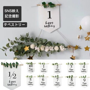 a ^yXg[ @K[h nbs[o[Xf[ j̎q ̎q birthday [J 4 9 o[Xf[p[eB[ k  100 1/2 1 2 3 4 5 6 7 8 9  Happy
