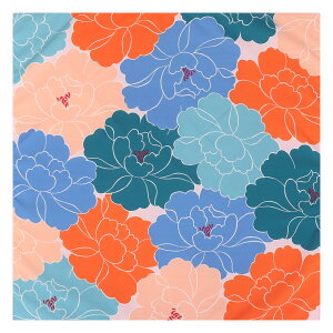 C~ ANAhbv  ӂ낵 S6 70cm |GXe100 { 唻 TCY ނ a  k m  킢 |v ɍl Ђ߂ނ katakata g _ 