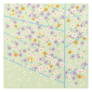 C~ Ђ߂ނ Adelin Klam ӂ낵 S5 ٓ 50cm I[KjbN Rbg 100 { ނ `}bg `NX 50cm  _  k m 킢 