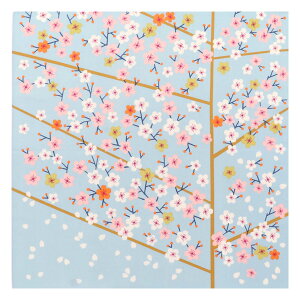 C~ Ђ߂ނ Adelin Klam ӂ낵 S5 ٓ 50cm I[KjbN Rbg 100 { ނ `}bg `NX 50cm  _  k m 킢 