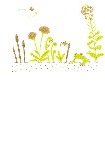 ͂ G߂͂  1  12 lG G S12 t^o ROKKAKU H F a a {    l nKL |XgJ[h CeA 莆 