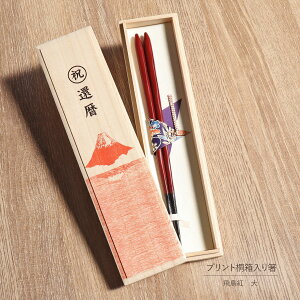  Pi җ  g  23.5cm q vg ˔ ㎆ 䎆 蔢 1V F  bh  jp p VR  邵 o g₷ ₷ 蕨 v[