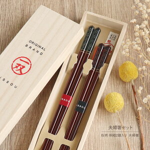  vw ˔2V J o Y { p  邵  uE  u[  bh 24cm 21.5cm   ؂₩ NA      a_ l yA Zbg 