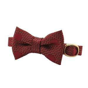 ZSALEiIL  LbgJ[ lN^C lN^C Z[teBAWX^[ 񂪒܂Ȃ Lp hbg |Jhbg   bh u[ wD 100 VN ^CElN