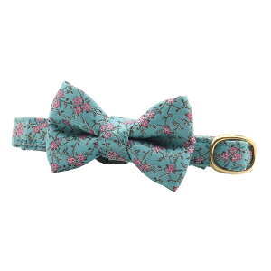 L  LbgJ[ lN^C lN^C Z[teBAWX^[ 񂪒܂Ȃ Lp AbT VA CG[  F wD 100 VN ^CElN^C JOLIE CRAVATS 