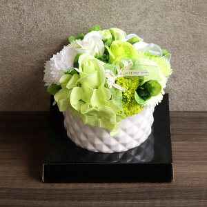 SAVON FLOWER �t�����[ POT �S6�F �t�����[�|�b�g �V���{�� �ԑ� �J�[�l�[�V���� �o�� ���� �͂�Ȃ� �V���{���t�����[ �T�{���t�����[ �\�[�v�t�����[ �t�����[�M�t�g �a���� �������� ���킢�� 